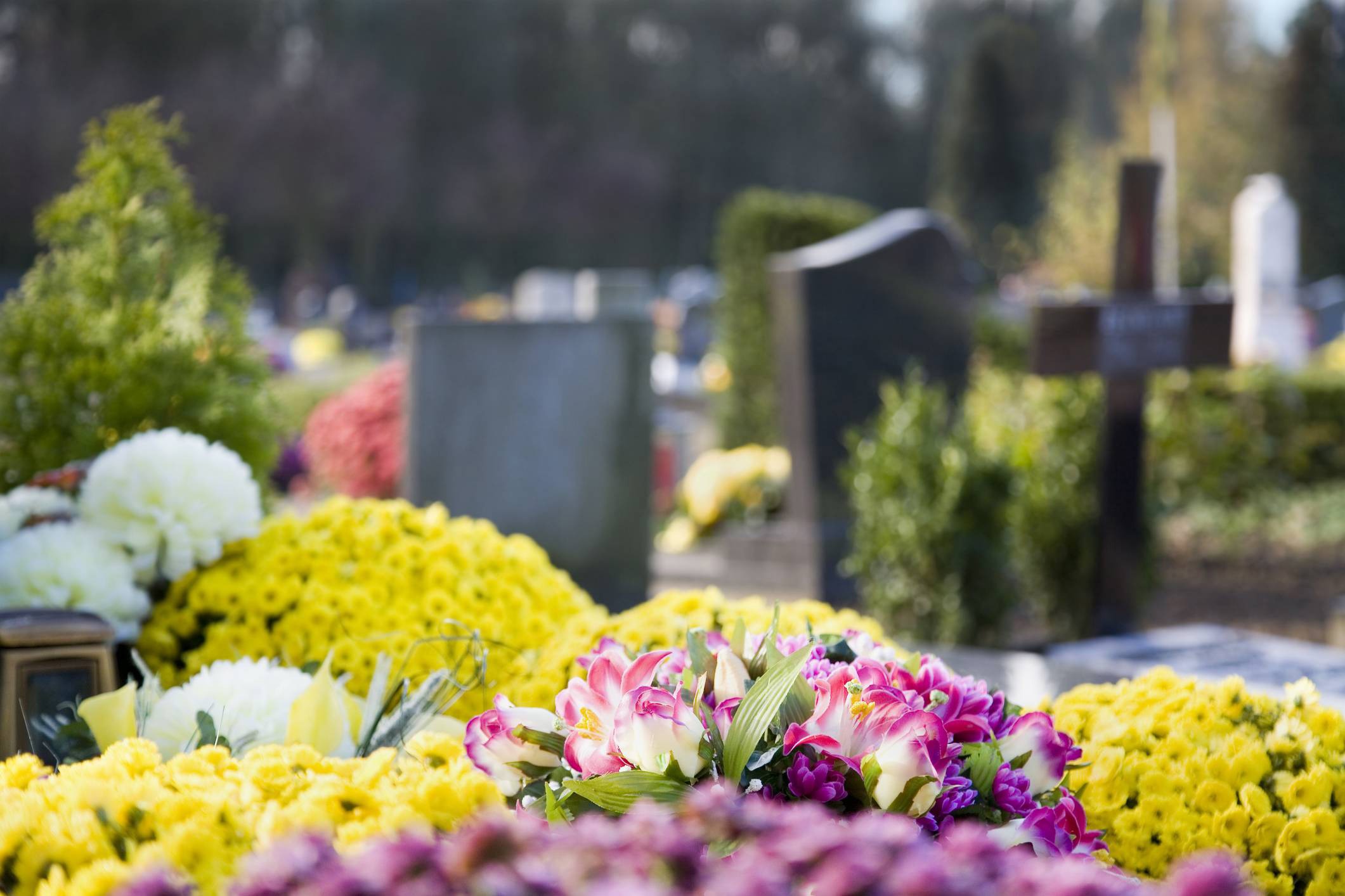 Fleurissement d'une tombe : quelles plantes privilégier au fil des saisons ?